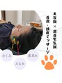 パウズ(Paws)&nbsp;美容鍼は３つの施術から選べます。その時の症状でお決めください