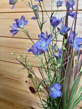 わたなべ整体院/