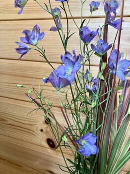 わたなべ整体院/