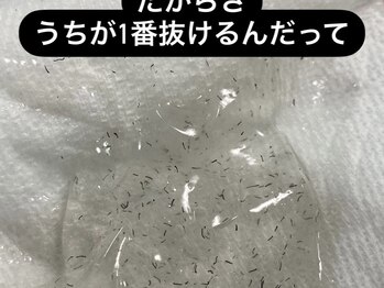 だんごバレエ団202/