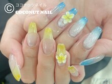 ココナッツネイル/マグネットネイル