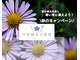 中條鍼灸治療院の写真