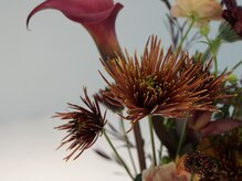 ヌック 原宿(Nook.)の雰囲気（丁寧に個性を惹きだす.オーダーメイド施術[まゆげ/まつげパーマ]）