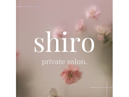 シロ(shiro)の写真
