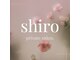 シロ(shiro)の写真