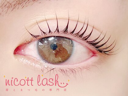 ニコットラッシュ 天王寺店(nicott lash)の写真