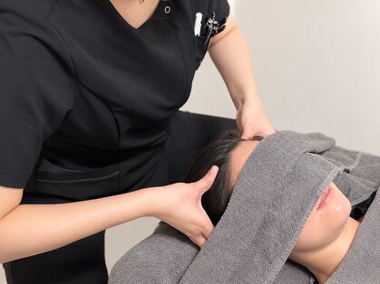 シア(SCIA)の写真