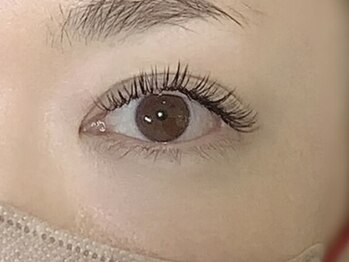 シエル(Ciel)/バインドロック140束×所沢