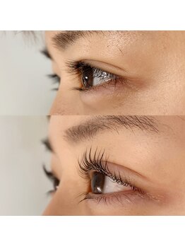 ジル(JILL)/Plump Lush Lift上・下