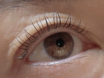 カラン 焼津店(CALIN)/ラスティングカール