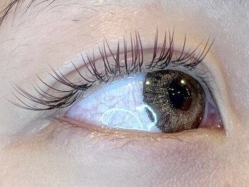 レミア 関内(REMIA)/9月　カラーフラットラッシュ