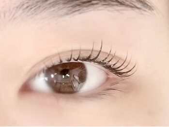 フェリーチェ(Felice)/