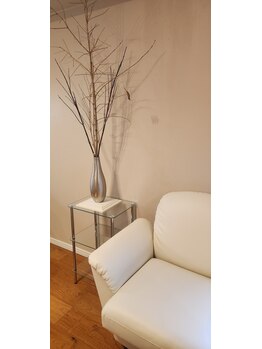 クリアーズ カグラザカ(CCLEAR'S KAGURAZAKA)/神楽坂、想い出の枝