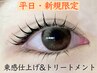 ☆平日限定☆ 束感まつげパーマ + トリートメント (D)