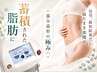 【平日限定/全身】ガチガチに固い脂肪へ!全身まるごと一度で痩身60分3980円