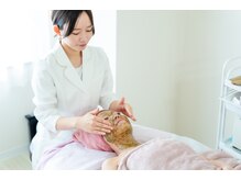 シャリル(charire)/REVI陶肌トリートメント