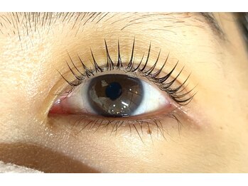 ペルシャ(Persian)/お客様デザイン(担当:宮井)