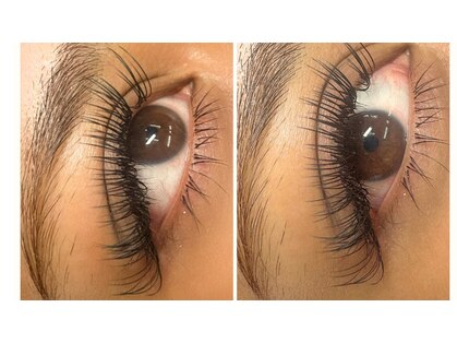 カシェット(cachette...)の写真