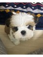 ロレインブロウ 枚方店&nbsp;大好きな愛犬に癒される毎日です＾＾