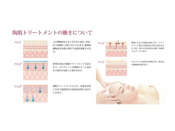 シトリン(Citrine)/《REVI》ハーブピーリング