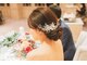 ブルーローズ(Blue Rose)の写真