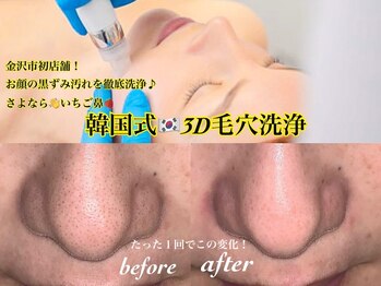 サロン ド カスケード(Salon de Cascade)