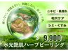 【本格肌質改善】【長年の肌荒れでお悩みの方に】MCハーブピーリング19800→