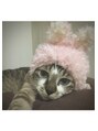 ザ シー タイムレスビューティ(THE SHE) 動物好きで自宅では猫5匹と犬2匹と一緒に暮らしてます!