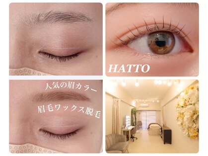 ハットウ(HATTO)の写真