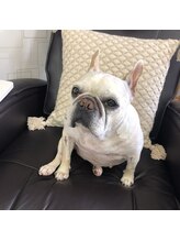 ブルネル(Bull Nall)&nbsp;yaya 