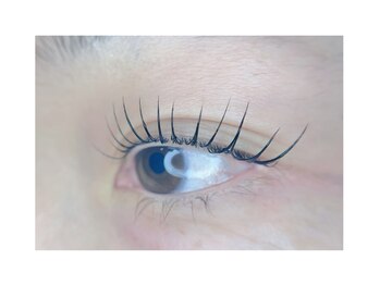 チフィータ ハーロ(cifita haro)