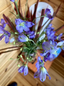 わたなべ整体院/