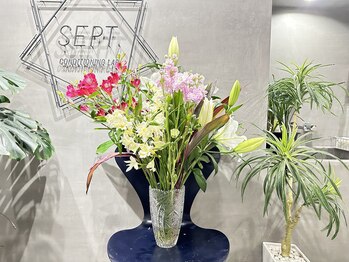 セプトきらく鍼灸整体院(Sept.)/今週のお花☆