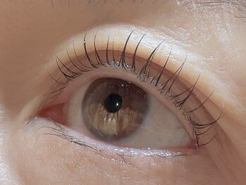 カラン 焼津店(CALIN)/ラスティングカール