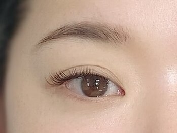 シエル(Ciel)/バインドロック120束×所沢