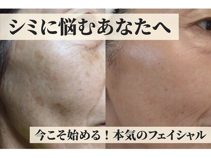 シェリー(cherie)の写真