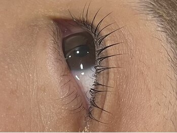 アップリップスダブリュー(Uplips.w)/