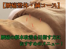 なごみの森接骨院 コーナン鎌倉大船院/【腰痛整体+鍼コース】