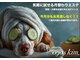 セハス キム(cejas kim.)の写真/【美容成分がお肌に浸透◎】理想の美肌/小顔を叶えます☆限定価格60分￥12.480→￥9.000！
