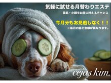 セハス キム(cejas kim.)
