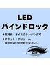 【LED】【バインドロック】100束【博多、祇園、東比恵】【マツエク】