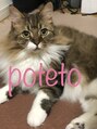 ロココ 心斎橋店(Rococo)&nbsp;我が家の愛猫ポテト君で～す！私の癒しです！！