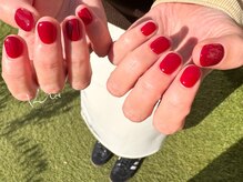 クレー(Klee)/美ワンカラー