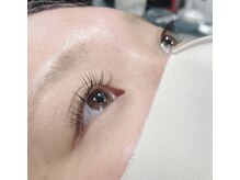 ピクシーボブ(Pixie Bob)/まつエク100本☆