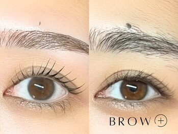 ブロウタス 川崎店(BROW+)/まつ毛パーマ