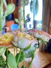 わたなべ整体院/