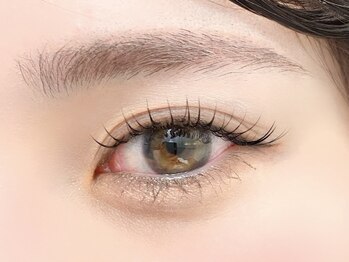 ネリネ 博多(nerine)/パリエク70本