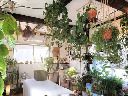 整体療院 おひさま。の写真
