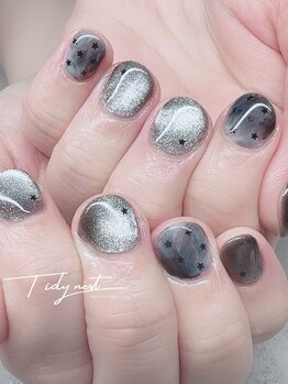 ティディーネスト(Tidynest)/マグネットネイル