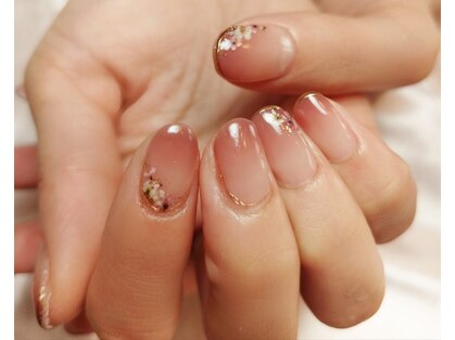 ロッティの写真